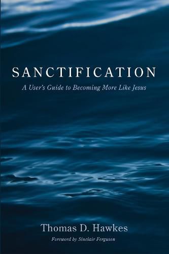 Sanctification: A User's Guide to Becoming More Like Jesus