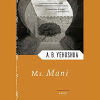 Cover image for Mr. Mani