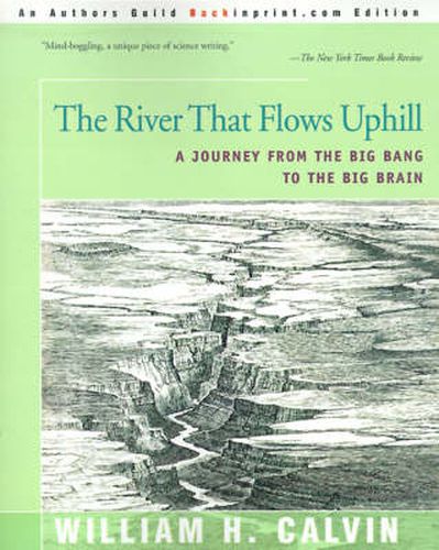 Cover image for The River That Flows Uphill: A Journey from the Big Bang to the Big Brain