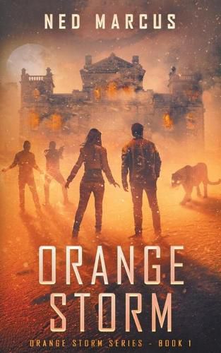 Cover image for Orange Storm