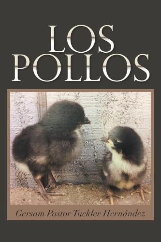 Cover image for Los Pollos