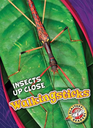 Cover image for Walkingsticks