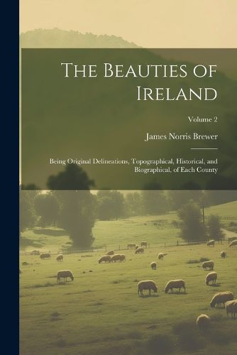 Cover image for The Beauties of Ireland