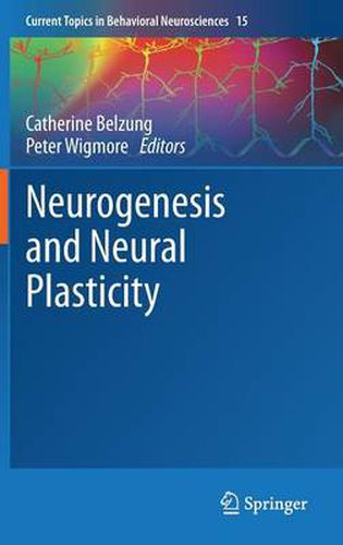 Neurogenesis and Neural Plasticity