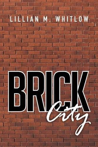 Cover image for Brick City