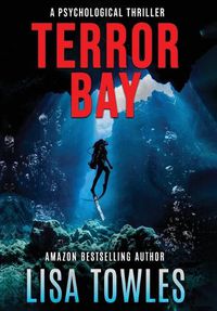 Cover image for Terror Bay