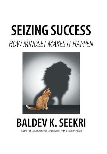 Cover image for Seizing Success