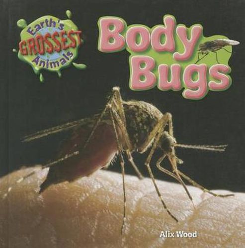 Body Bugs