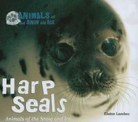 Cover image for Harp Seals: Animals of the Snow and Ice