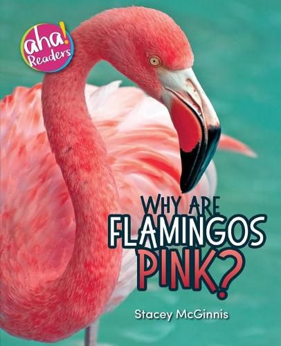 Cover image for Why Are Flamingos Pink?