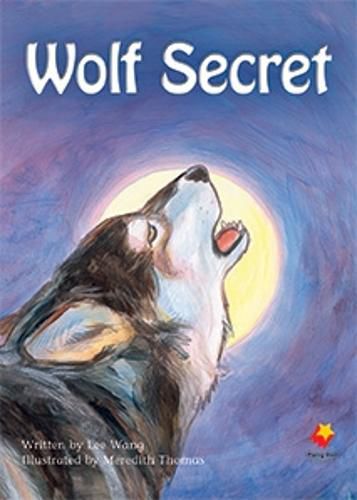 Cover image for Wolf Secret