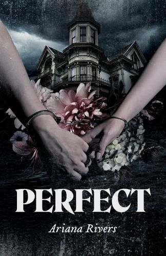 Cover image for Perfect