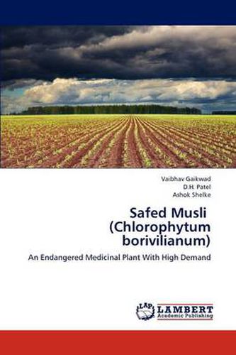 Cover image for Safed Musli (Chlorophytum borivilianum)