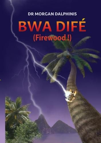 Cover image for Bwa Dife (Firewood!)