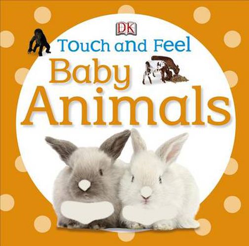 Cover image for Touch and Feel Baby Animals