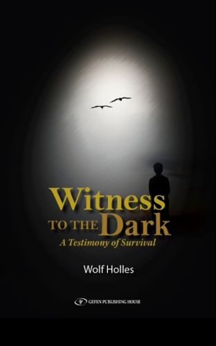 Cover image for Witness to the Dark: A Testimony of Survival