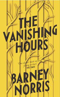 Cover image for The Vanishing Hours