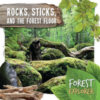 Cover image for Rocks, Sticks, and the Forest Floor