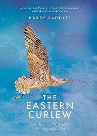 Cover image for The Eastern Curlew