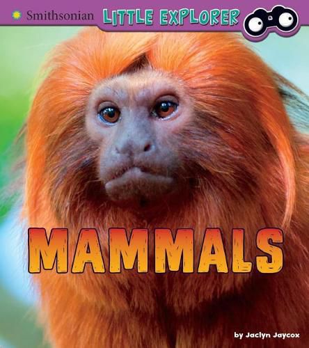 Cover image for Mammals: A 4D Book