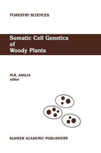 Cover image for Somatic Cell Genetics of Woody Plants: Proceedings of the IUFRO Working Party S2. 04-07 Somatic Cell Genetics, held in Grosshansdorf, Federal Republic of Germany, August 10-13, 1987