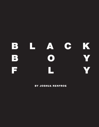 Cover image for Black Boy Fly