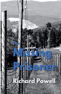 Cover image for The Missing Prisoner