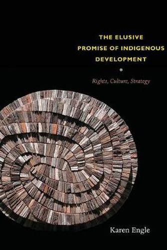 Cover image for The Elusive Promise of Indigenous Development: Rights, Culture, Strategy
