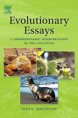 Cover image for Evolutionary Essays: A Thermodynamic Interpretation of the Evolution