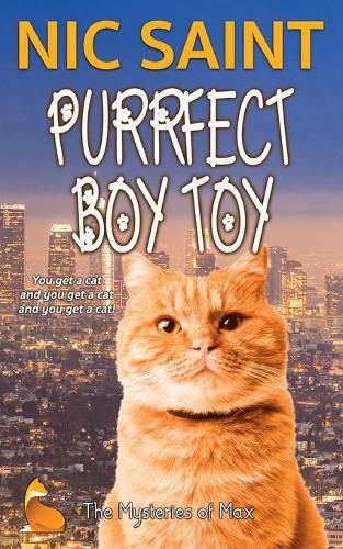 Cover image for Purrfect Boy Toy