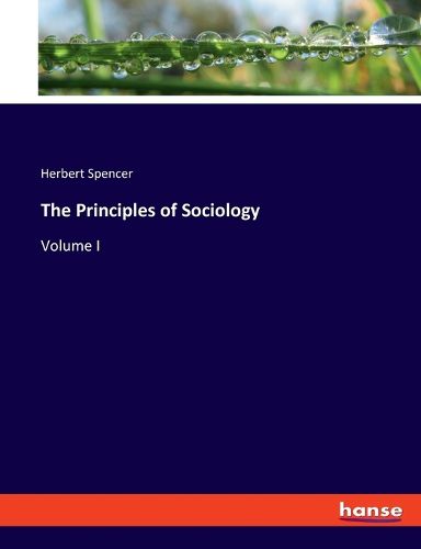 Cover image for The Principles of Sociology