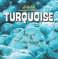 Cover image for Turquoise