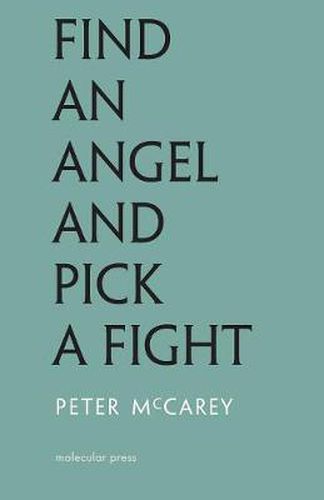 Cover image for Find an Angel and Pick a Fight