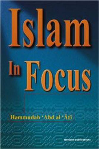 Cover image for Islam in Focus