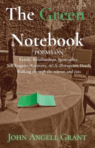 Cover image for The Green Notebook