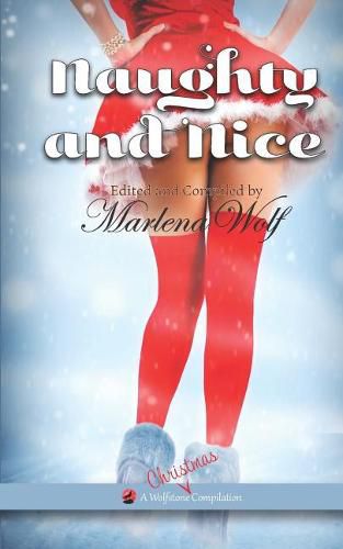 Cover image for Naughty and Nice