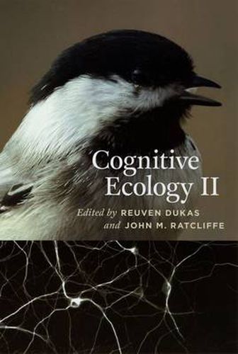 Cover image for Cognitive Ecology II