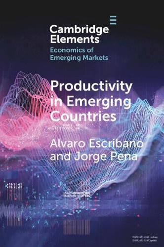 Cover image for Productivity in Emerging Countries: Methodology and Firm-Level Analysis based on International Enterprise Business Surveys