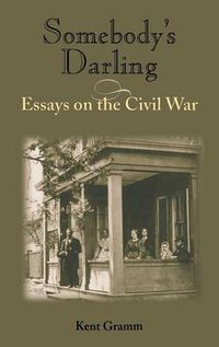 Cover image for Somebody's Darling: Essays on the Civil War