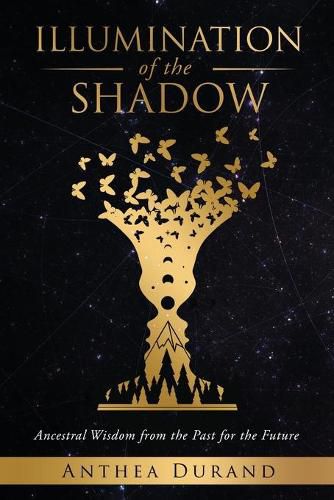 Cover image for Illumination of the Shadow: Ancestral Wisdom from the past for the future