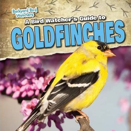 A Bird Watcher's Guide to Goldfinches