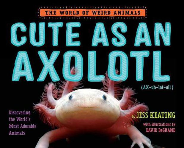 Cover image for Cute as an Axolotl