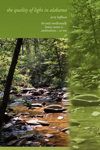 Cover image for The quality of light in alabama