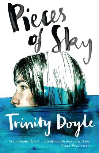 Cover image for Pieces of Sky