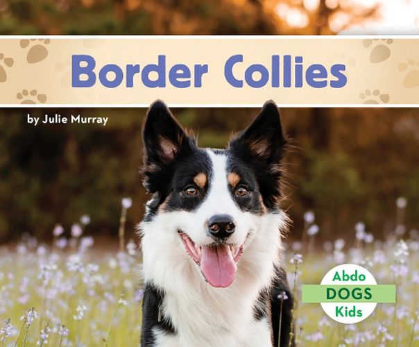 Cover image for Border Collies