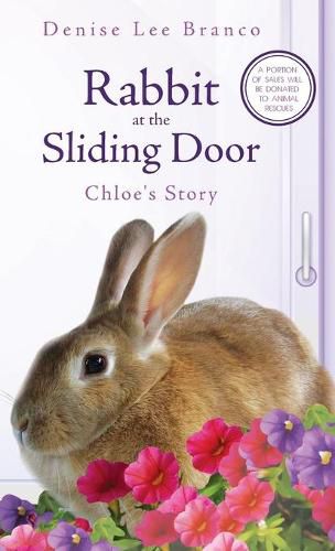 Cover image for Rabbit at the Sliding Door: Chloe's Story