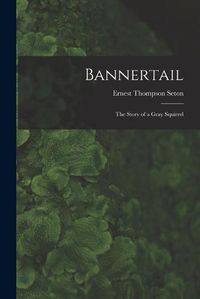 Cover image for Bannertail; the Story of a Gray Squirrel