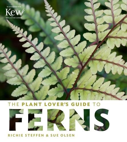 Cover image for Plant Lover's Guide to Ferns