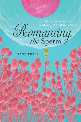 Cover image for Romancing the Sperm: Shifting Biopolitics and the Making of Modern Families