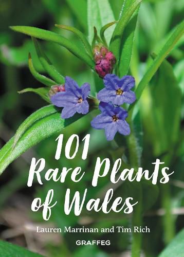 Cover image for 101 Rare Plants of Wales